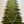 Berber hallway rug n°2808 - Tree - 310 x 81 cm