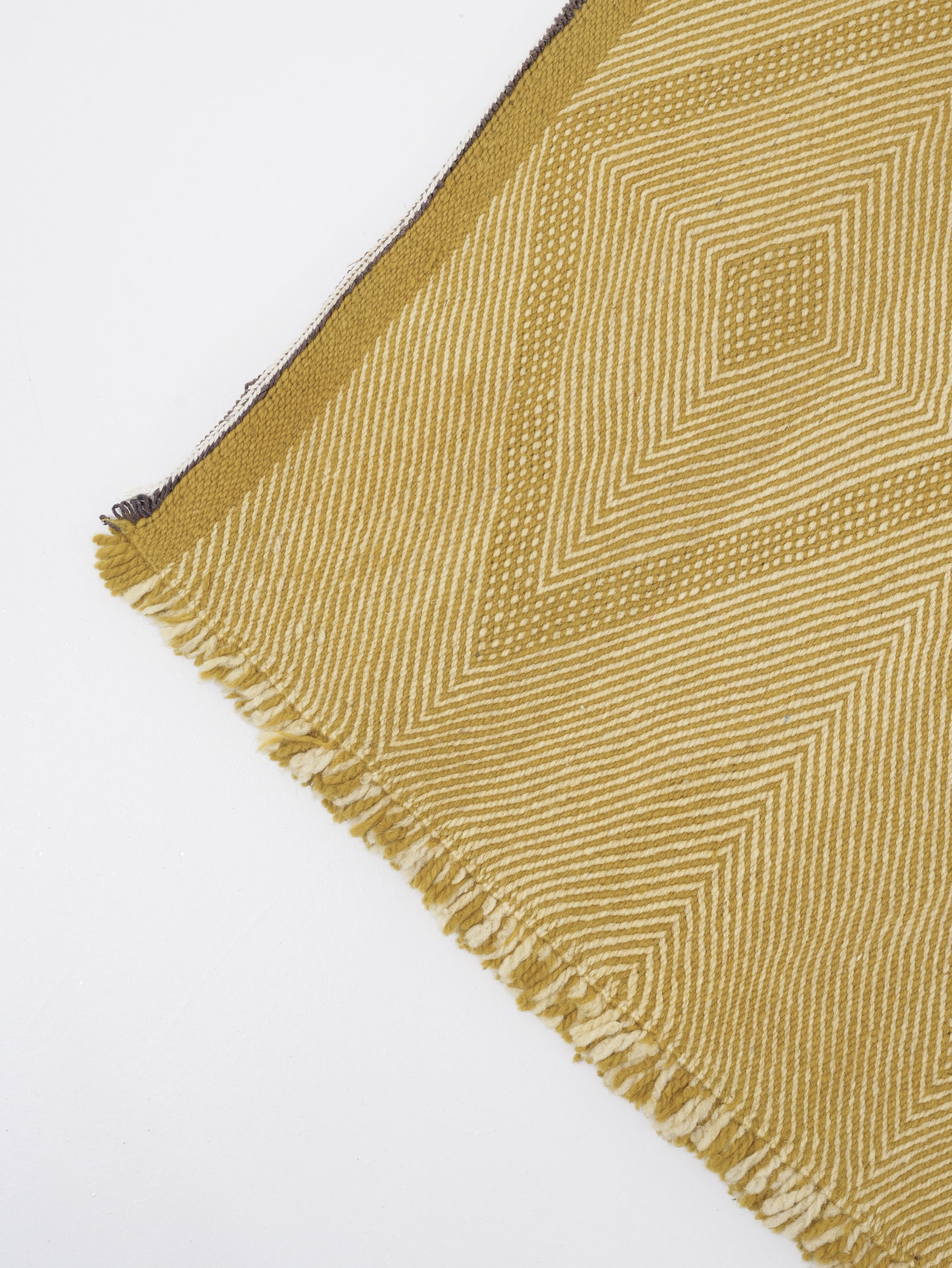 Berber Kilim Tazenakht Rug No. 2742 - Goose