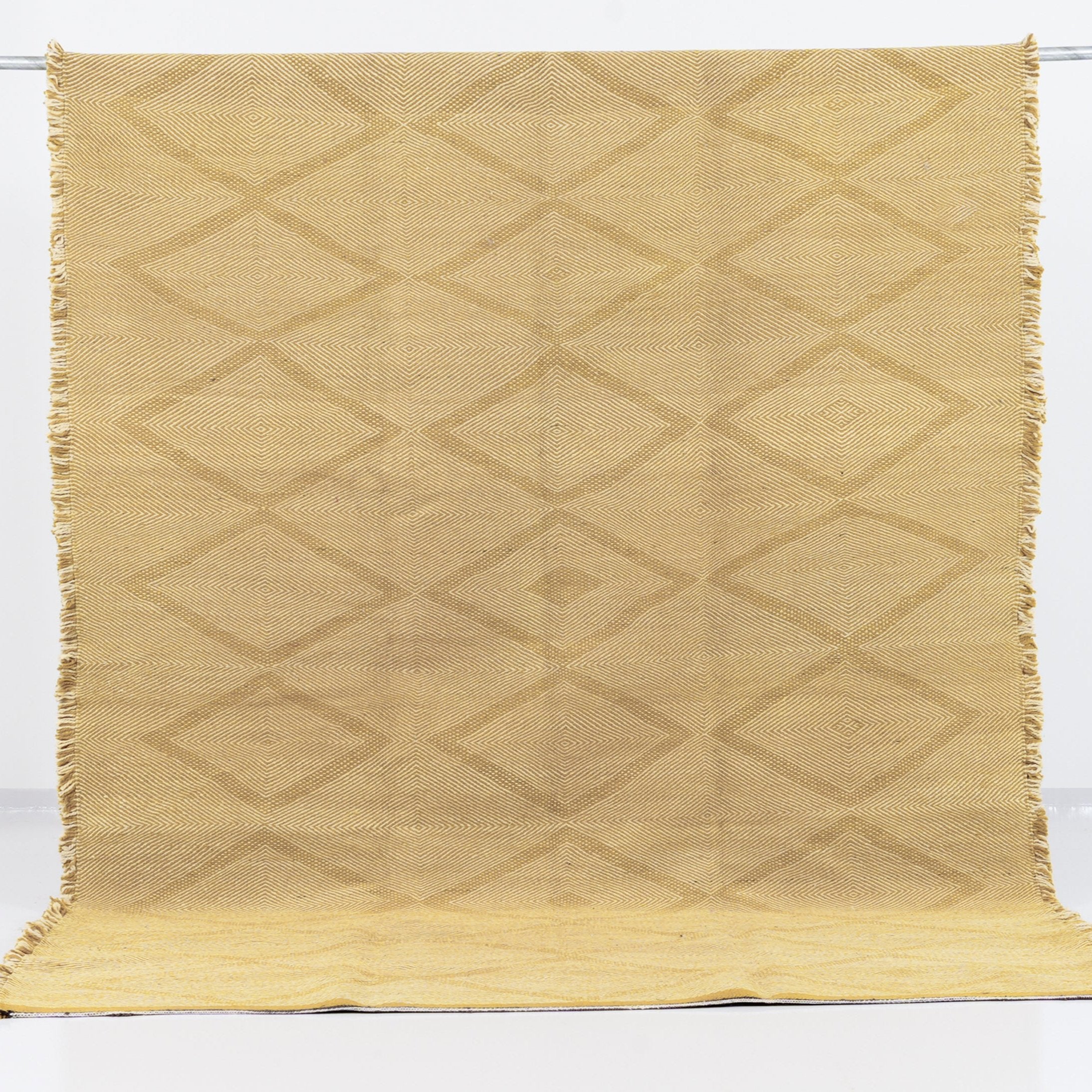 Berber Kilim Tazenakht Rug No. 2742 - Goose